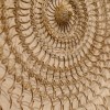 Exploration of Materials