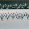 Legion -detail (2015) Jo Mitchell - photo CRennie.jpg